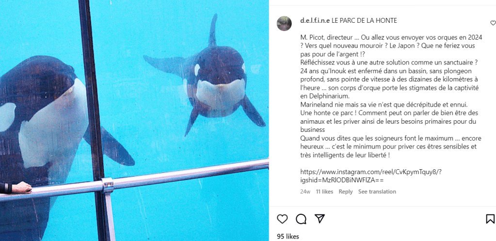 Marinelands späckhugggares framtid ännu&nbsp;oviss